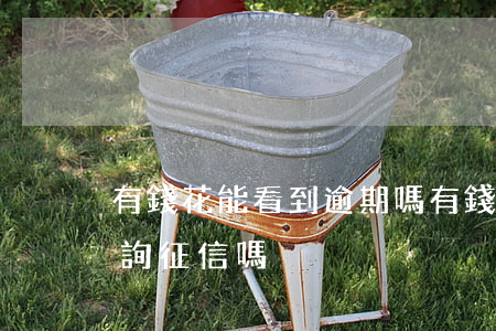 有錢花能看到逾期嗎 有錢花會(huì)查詢征信嗎