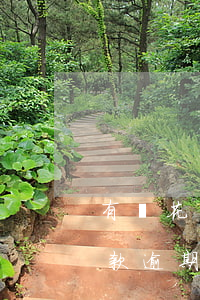 有錢花貸款逾期4個(gè)月了(有錢花貸款逾期一年多)