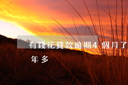 有錢花貸款逾期4個月了(有錢花貸款逾期一年多)
