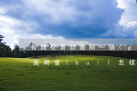 有錢花貸款逾期一個(gè)月(有錢花借款逾期會(huì)怎樣)
