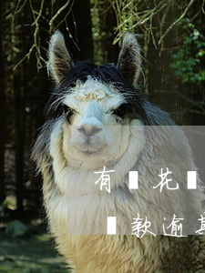 有錢花貸款逾期了真的會被起訴嗎-有錢花貸款逾期了真的會被起訴嗎知乎