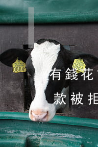 有錢花貸款逾期被拒(有錢花 有額度為什么借款被拒)