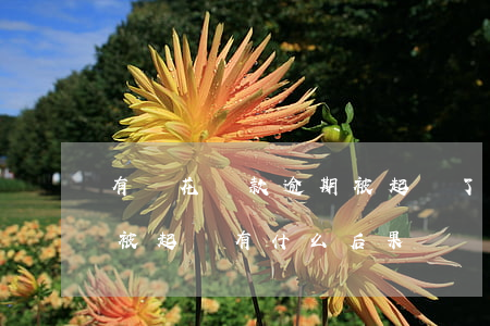 有錢花貸款逾期被起訴了怎么辦(有錢花逾期被起訴有什么后果)
