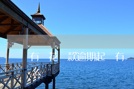 有錢花貸款逾期起訴(有錢花嚴重逾期會起訴么)