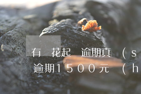 有錢花起訴逾期真實(shí)案例 有錢花逾期1500元會(huì)被起訴嗎