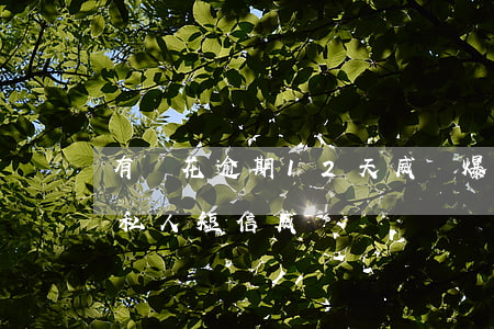有錢花逾期12天威脅爆通訊錄 有錢花逾期私人短信威脅