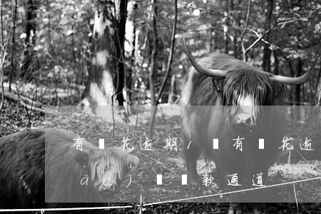 有錢花逾期1萬(有錢花逾期1萬說關(guān)閉還款通道)