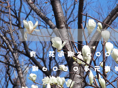 有錢花逾期2600會被起訴嗎-有錢花逾期6000多元有被起訴的嗎?