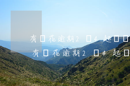 有錢花逾期2萬4起訴經(jīng)歷-有錢花逾期2萬4起訴經(jīng)歷