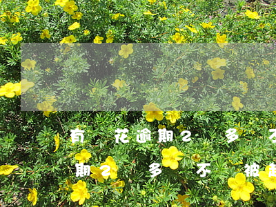 有錢花逾期2萬多會不會被起訴-有錢花逾期2萬多會不會被起訴呢
