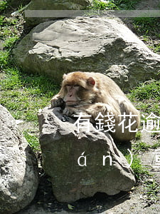 有錢花逾期3萬多 有錢花逾期3萬多嚴(yán)重嗎
