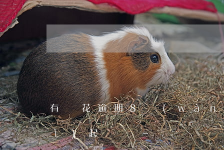 有錢花逾期8萬(wàn)2年了會(huì)起訴嗎-