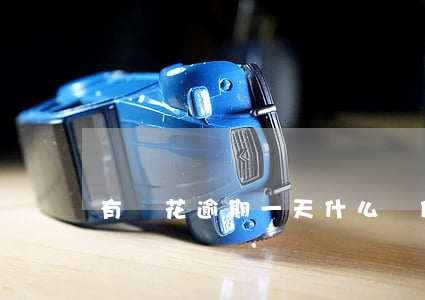 有錢花逾期一天什么時候打電話-