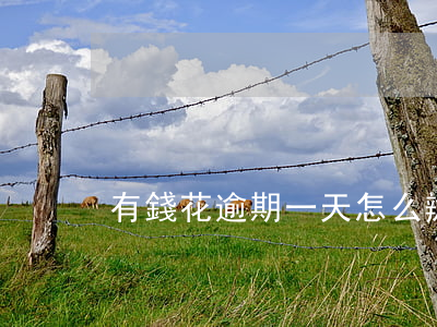有錢花逾期一天怎么辦啊求解答-