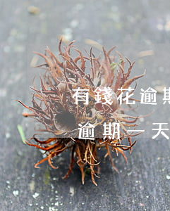有錢花逾期一天還款額度就翻倍了-有錢花逾期一天還款額度就翻倍了嗎