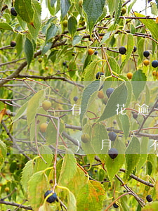 有錢花逾期一月后果 有錢花逾期一個(gè)月會不會起訴