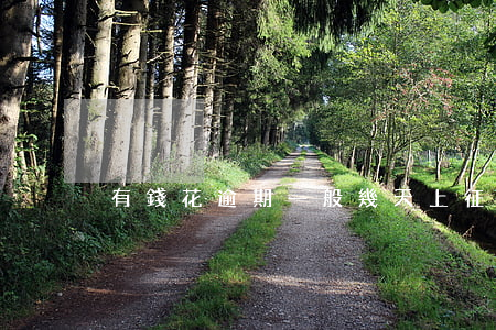 有錢花逾期一般幾天上征信