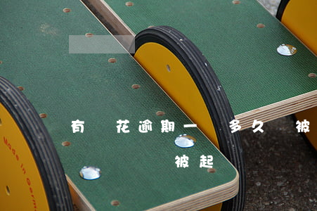 有錢花逾期一萬多久會被起訴(有錢花逾期多長時間會被起訴)