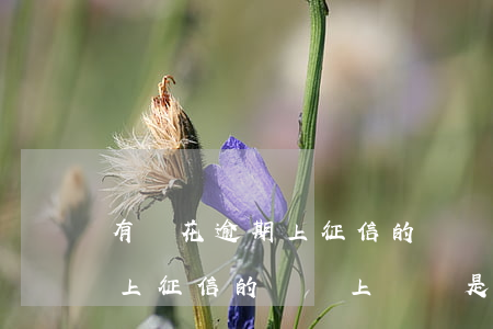 有錢花逾期上征信的嗎會上門嗎(有錢花逾期上征信的嗎會上門嗎是真的嗎)