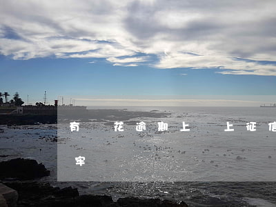 有錢花逾期上沒上征信-有錢花逾期是否坐牢