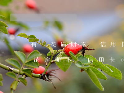 有錢花逾期不還信用卡可以正常用嗎-有錢花逾期不還信用卡可以正常用嗎安全嗎