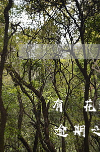 有錢花逾期之后多久會把記錄消除-有錢花逾期之后多久會把記錄消除掉