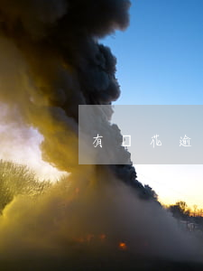 有錢花逾期了怎么辦呢（有錢花逾期過 ）