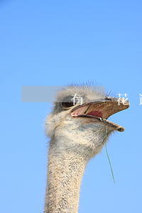 有錢花逾期了打電話來怎么應對-