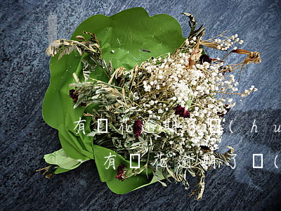 有錢花逾期了會(huì)影響使用花唄嗎-有錢花逾期了會(huì)影響使用花唄嗎安全嗎