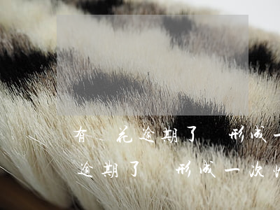有錢花逾期了會形成一次性還完嗎-有錢花逾期了會形成一次性還完嗎怎么辦