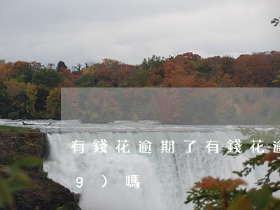 有錢花逾期了（有錢花逾期可以申請(qǐng)嗎）