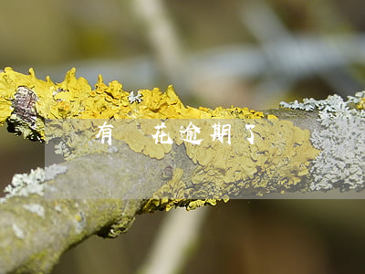 有錢花逾期了還