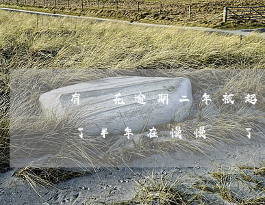 有錢花逾期二年被起訴怎么辦-有錢花逾期了半年在慢慢還了會(huì)被起訴嗎