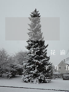 有錢花逾期二年被起訴怎么辦-有錢花逾期了半年在慢慢還了會被起訴嗎