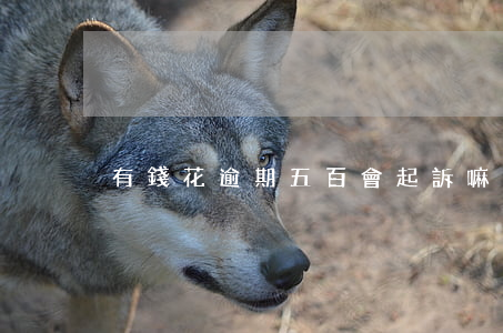 有錢花逾期五百會起訴嘛