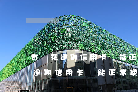 有錢花逾期信用卡還能正常使用嗎-有錢花逾期信用卡還能正常使用嗎知乎