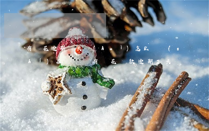 有錢花逾期兩天會(huì)怎么樣 實(shí)在沒錢還（有錢花還款逾期2天）