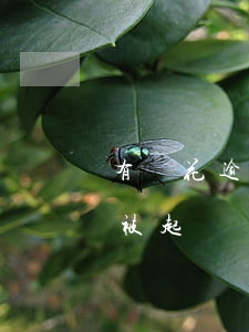有錢花逾期兩萬(wàn)多會(huì)被起訴嗎 有錢花逾期3萬(wàn)多會(huì)上訴嗎