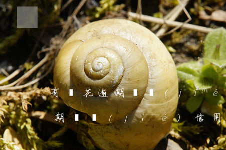 有錢花逾期凍結(jié)信用卡(有錢花逾期凍結(jié)信用卡怎么還款)