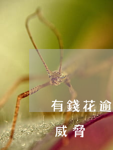 有錢花逾期加微信威脅(有錢花逾期私人短信威脅)