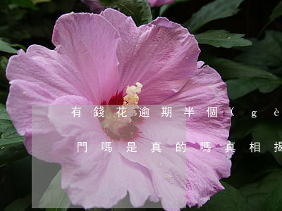 有錢花逾期半個(gè)月會(huì)上門嗎是真的嗎，真相揭示：有錢花逾期半個(gè)月真的會(huì)上門催收嗎？