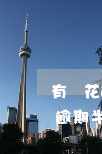 有錢花逾期半個月還款后還可以借嗎，有錢花：逾期半個月還款后是否還能借款？