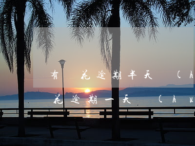 有錢花逾期半天會(huì)上征信嗎 有錢花逾期一天會(huì)有什么后果?,有獎(jiǎng)問(wèn)答