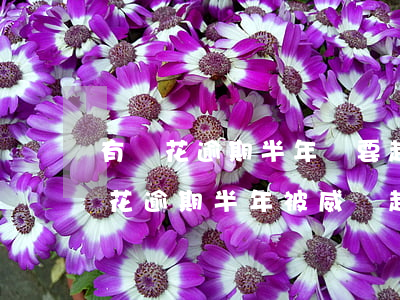 有錢花逾期半年說要起訴我怎么辦，面對有錢花逾期半年被威脅起訴，你該怎么做？