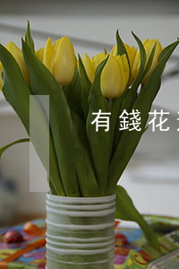 有錢花逾期協(xié)商還款終于成功