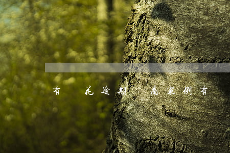 有錢花逾期協商案例(有錢花逾期協商案例)