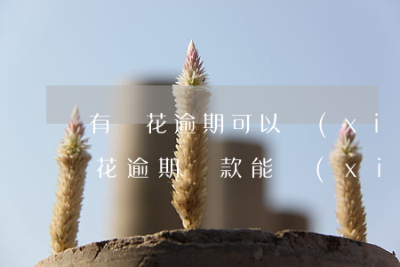 有錢花逾期可以協(xié)商還款嗎(有錢花逾期還款能協(xié)商嗎)