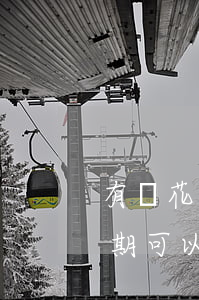 有錢花逾期可以申請延期還款嗎-有錢花逾期可以申請延期還款嗎
