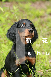 有錢花逾期四天起訴-有錢花逾期八天說(shuō)要起訴我