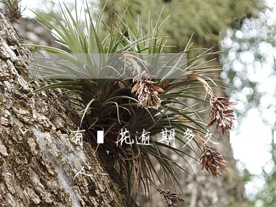 有錢花逾期多久會被聯(lián)系家里人-